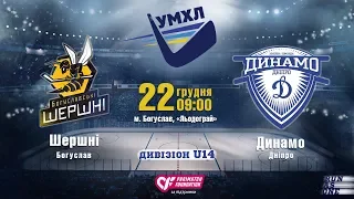 "Шершні"(Богуслав) - "Динамо" (Дніпро) #U14 #УМХЛ 22.12.19