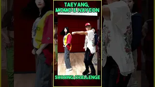 Taeyang x Lisa - Shoong! Dance Challenge feat Seventeen & Twice