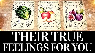 ❤️🔥 THE HONEST TRUTH About Their Thoughts & Feelings 💞 PICK A CARD ❤️🔥 Love Tarot Reading