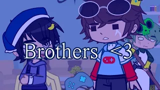 Sharing is caring ❤️ // Quackity and George brothers AU // Dream SMP My AU // Awsamdude Family