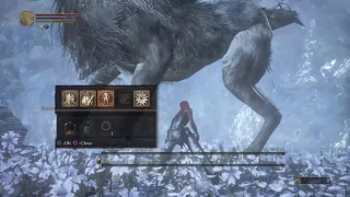 SL1 NG+7 Champion's Gravetender/Gravetender Greatwolf