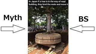 Moving Trees in Japan Myth
