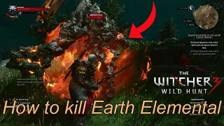How to kill Earth Elemental in The Witcher 3 (easy) || Как убить Элементаля земли в Ведьмак 3 (изи)