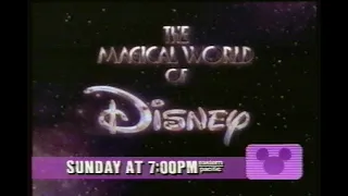 The Disney Channel Programming Breaks (March 28/29, 1993)
