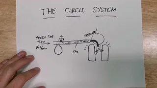 The Circle Breathing System Explained in under 2 minutes