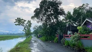 Seeing the rain in the water village||village atmosphere||Indonesian village
