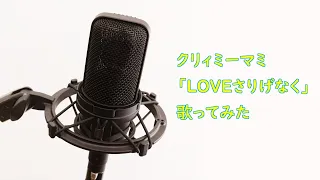 【歌ってみた】LOVEさりげなく / くまねこずー【魔法の天使クリィミーマミ ED】