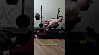 ✅Это упражнение взрывает мышцы спины легким весом, исправляет осанку🏋️‍♂