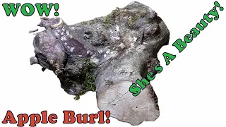 RARE Burl Apple! 👀 A Real Beauty! - Wood Turning