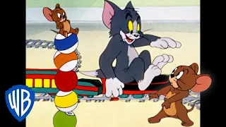 Tom & Jerry in italiano | Attività divertenti! | WB Kids