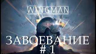 Project Wingman Завоевание #1