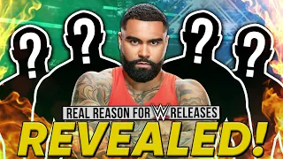 Reason For Gable Steveson & Other WWE Releases Revealed | Ex-AEW Talent Backstage At TNA Tapings