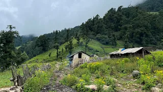 Daily Life of Nepali Mountain Village || Poor but Very Happy People || IamSuman