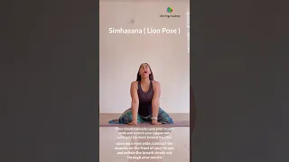 Simhasana ( Lion Pose ) #yogaurmi #yogawithurmipandya #urmiyogaacademy #yoga #2023 #yogaasana