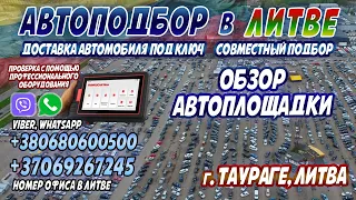 Обзор автоплощадки в Литве, город Таураге, 2024 год! Обзор автомобилей #авто #автоизевропы #литва