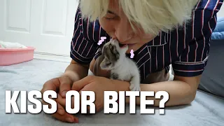 WHAT 1 MONTH OLD BABY CAT DOES WHEN SHE LOVES ME, KISS OR BITE