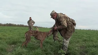 Ростовские окружные состязания 2018г