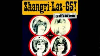 The Dum Dum Ditty-Shangri Las-'1966-Red Bird LP 104.wmv