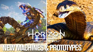 New Machines from Horizon Forbidden West and their Animal Prototypes