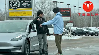 Lowballing Tesla Salesman Prank!