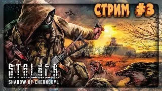 ПРИБЫЛИ НА ЯНТАРЬ! СТАЛКЕРИМ ПО-ТИХОЙ! 🔴 S.T.A.L.K.E.R.: Shadow Of Chernobyl СТРИМ #3