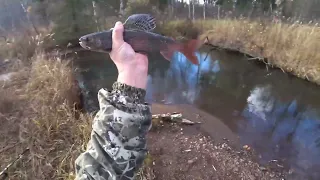 Осенняя_Таёжная Рыбалка на Крупного ХАРИУСА/ Клёв на Удочку в ТАЙГЕ/ на Малой Речке!