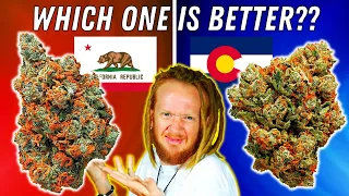 🟢California Vs Colorado: Who Has The BEST Weed?