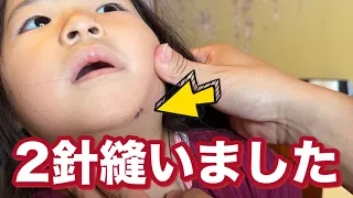 【緊急で病院へ🏥】たねちゃん2針縫いました💦