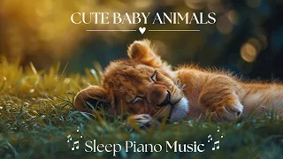 🦘 かわいい動物の赤ちゃん🐆 穏やかでリラックスできる音楽[睡眠ピアノ]と動物のビデオを備えたリラクゼーションフィルム