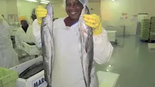 Bernard Esau former Minister of Fisheries and Marine Resources explains Namibia's fishing industry