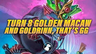 Turn 8 Golden Macaw and A Goldrinn, That's GG | Dogdog Hearthstone Battlegrounds