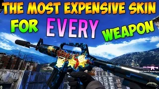 CS GO - The Most Expensive Skin For EVERY Weapon