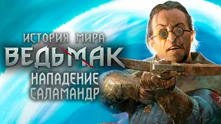 Ведьмак. История Мира. Часть 39. Нападение на Каэр Морхен. Саламандры