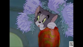 Tom and Jerry Fraidy Cat Classic Cartoon