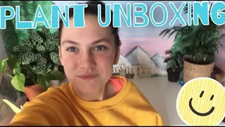 UK Plant Unboxing | Ebay 🪴