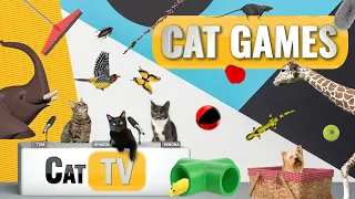 CAT Games | Ultimate Cat TV Compilation Vol 31 | 2 HOURS 🐝🐞🦋🦎🦜🐜🐭🧵