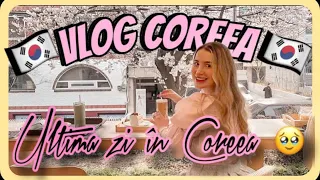 VLOG COREEA DE SUD: Ultimul vlog din Coreea 🥲 A fost CEA MAI FRUMOASĂ CĂLĂTORIE 🥰