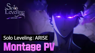 [Solo Leveling:ARISE] Montage PV : Evolution