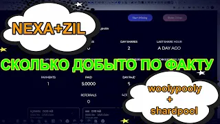 Отчёт NEXA+ZIL | woolypooly + shardpool | ЗАПУСК woolypooly+zil.crazypool