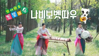 나비보벳따우_동물의숲BGM🎶(Animal Crossing_K.K HOUSE) 국악버전/거문고,장구,대금 커버연주👑 퓨전국악 퀸