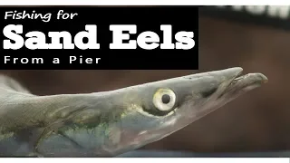 Fishing for Sand Eel's from the Pier