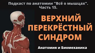 Верхний перекрёстный синдром. Всё о мышцах. Часть 15