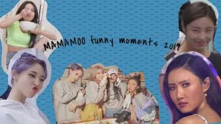 MAMAMOO Funny Moments 2019