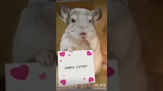 Это моей бывшей лучшей подруге. Я скучаю по ней(