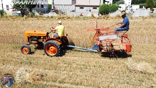 LU MACHENÀ DE NA VODDE | MIETITURA FRUMENTO IN TERRASANTA | FIAT 18 "La Piccola" + LAVERDA ML5BR