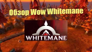 Обзор сервера Wow Whitemane