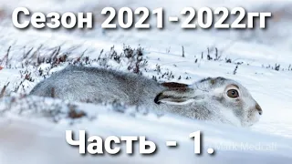 #Охота на зайца-русака, сезона 2021-2022гг... "Лучшие моменты часть ~1"...