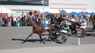 2016 International Trot Day