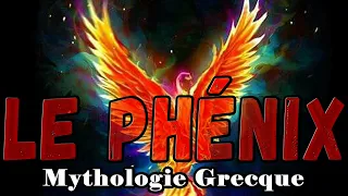 LE PHÉNIX | Mythologie grecque (entre autres)