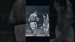 Muhammad Ali "Float Like A Butterfly Sting Like A Bee"